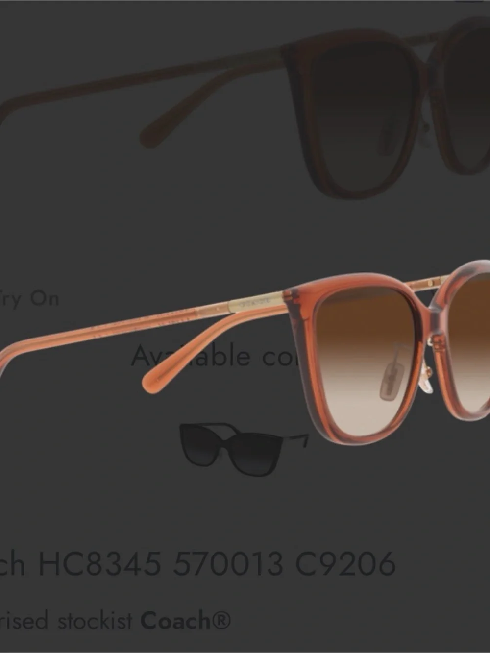 COACH Coach C9206 8345 Sunglasses Transparent Amber